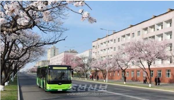 4月朝鮮春意正盛 市民賞花遊園興致濃