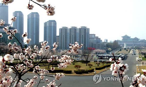 4月朝鮮春意正盛 市民賞花遊園興致濃