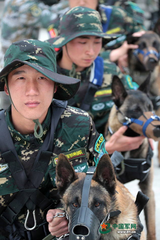 解放軍特種部隊軍犬首次參加機降演練