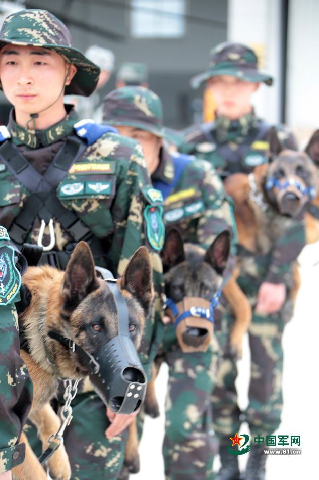 解放軍特種部隊軍犬首次參加機降演練