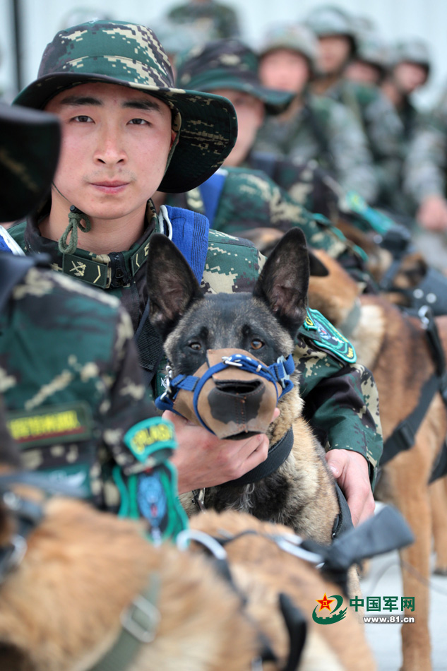 解放軍特種部隊軍犬首次參加機降演練