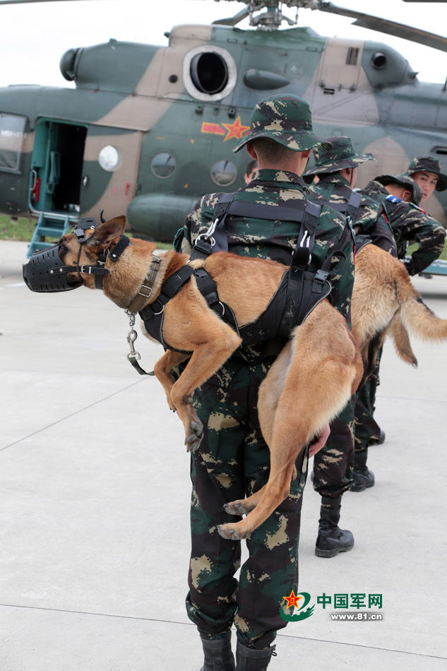 解放軍特種部隊軍犬首次參加機降演練