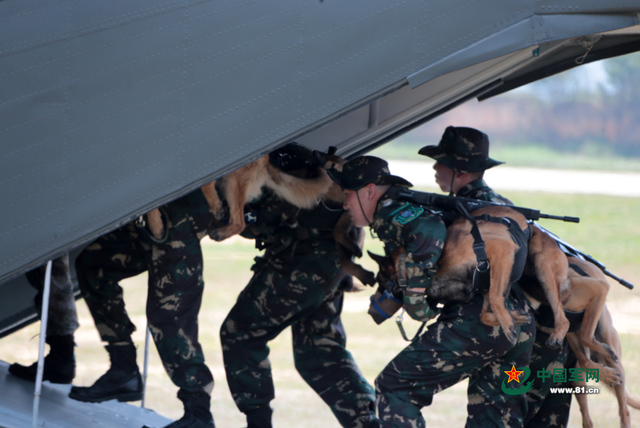 解放軍特種部隊軍犬首次參加機降演練