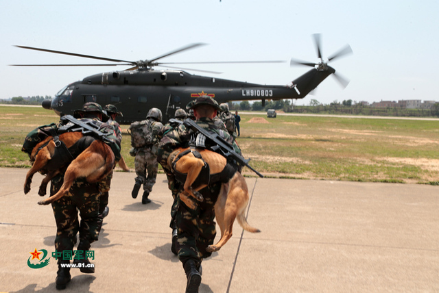 解放軍特種部隊軍犬首次參加機降演練