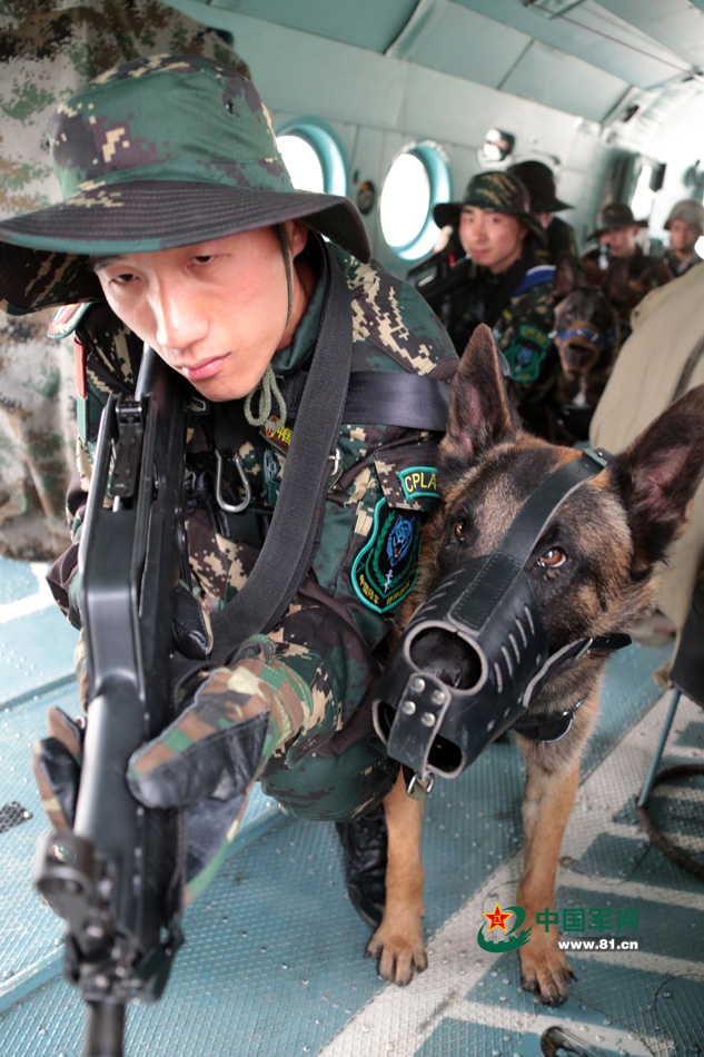 解放軍特種部隊軍犬首次參加機降演練