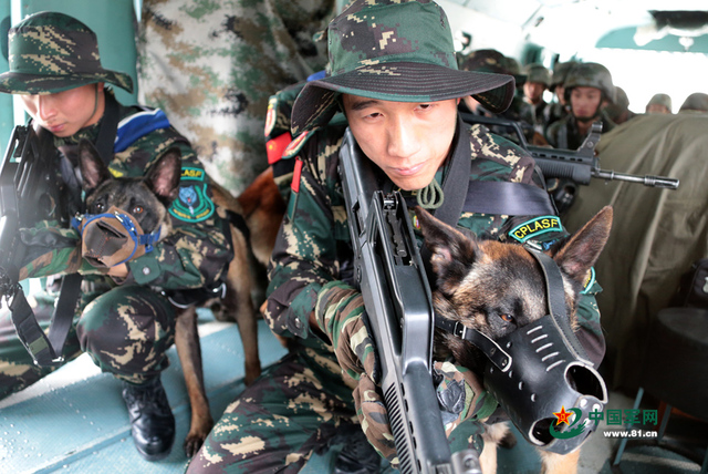 解放軍特種部隊軍犬首次參加機降演練