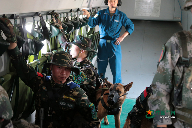 解放軍特種部隊軍犬首次參加機降演練