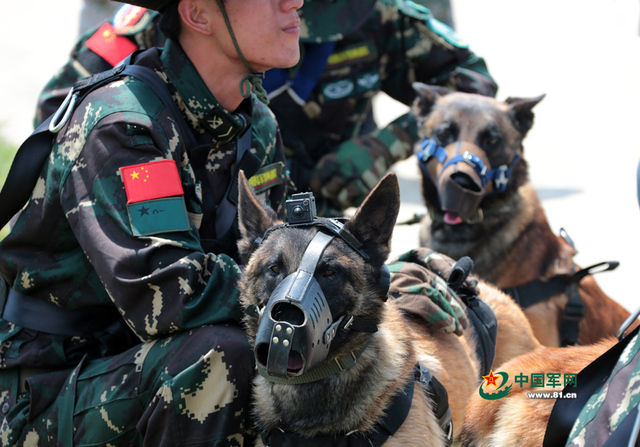 解放軍特種部隊軍犬首次參加機降演練