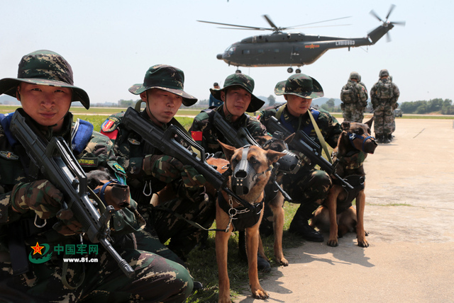 解放軍特種部隊軍犬首次參加機降演練