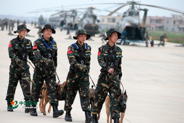 解放軍特種部隊軍犬首次參加機降演練