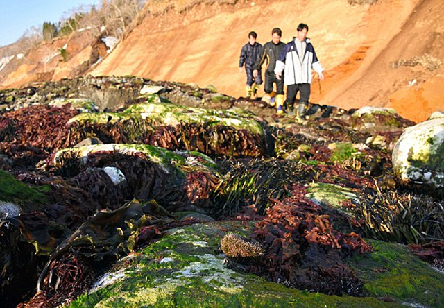 北海道一處海岸線尼泊爾地震前隆起十多米 原因不明