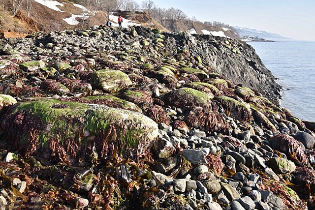 北海道一處海岸線尼泊爾地震前隆起十多米 原因不明