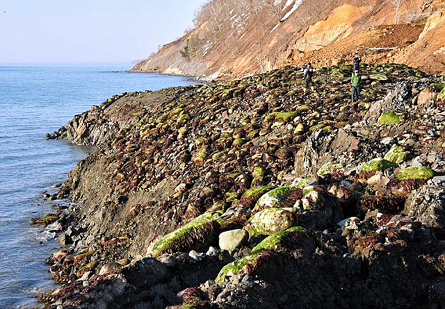 北海道一處海岸線尼泊爾地震前隆起十多米 原因不明