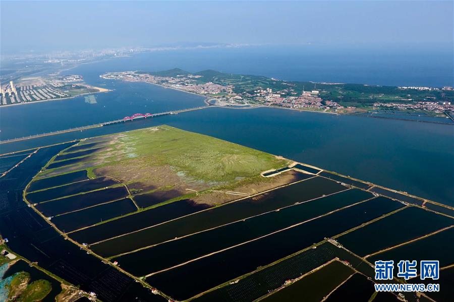 鳥瞰煙臺養馬島