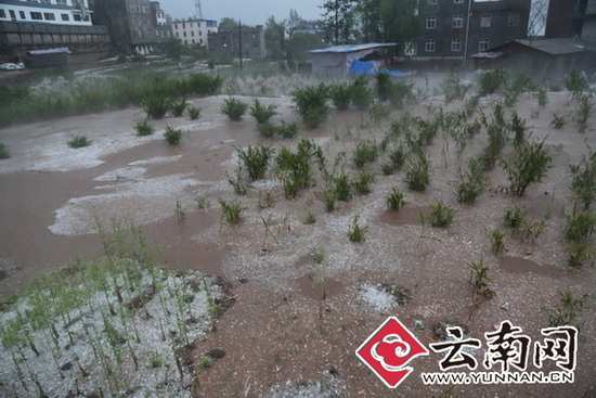 雲南永善連續遭暴雨冰雹災害 冰雹大如湯圓