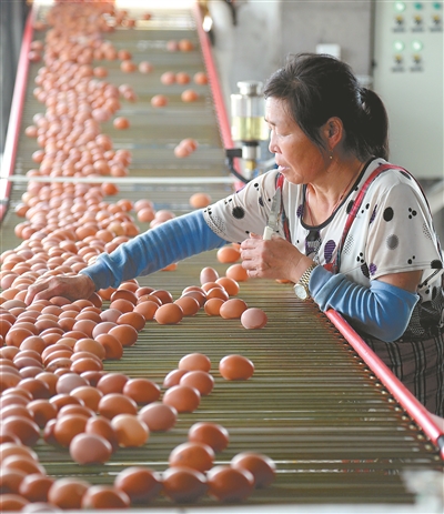 （食品）專家建議設立畜禽禁養區讓養殖和種植有機匹配