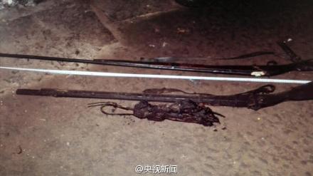 雲南大熊貓遭獵殺 警方查獲一張皮約20斤肉