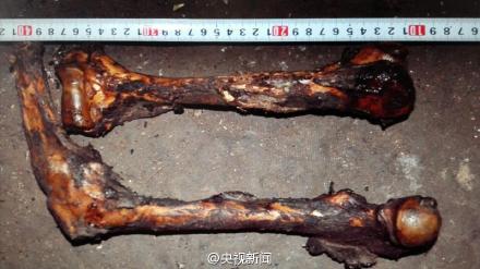 雲南大熊貓遭獵殺 警方查獲一張皮約20斤肉