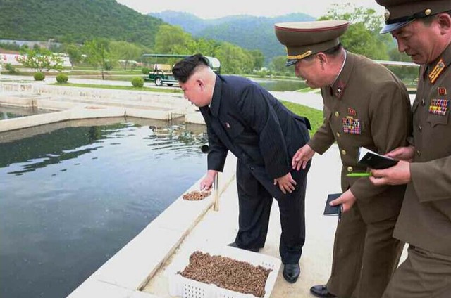 金正恩視察部隊養魚場 稱讚魚場産量高環境好