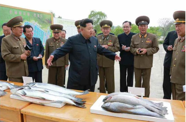 金正恩視察部隊養魚場 稱讚魚場産量高環境好