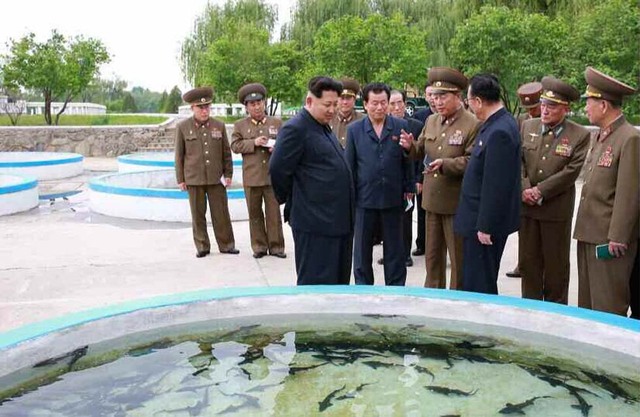 金正恩視察部隊養魚場 稱讚魚場産量高環境好