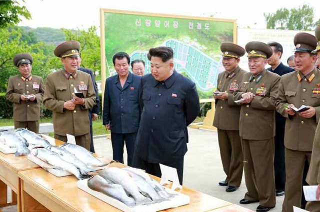 金正恩視察部隊養魚場 稱讚魚場産量高環境好