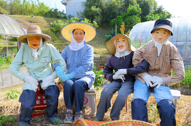 日本農婦巧制超逼真稻草人 成功擊退偷食烏鴉