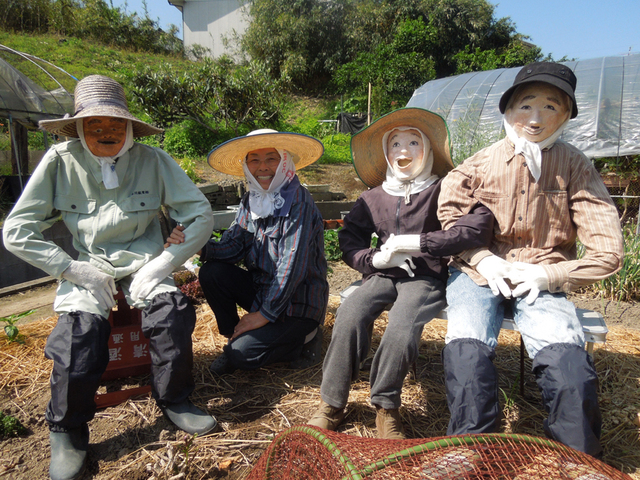 日本農婦巧制超逼真稻草人 成功擊退偷食烏鴉