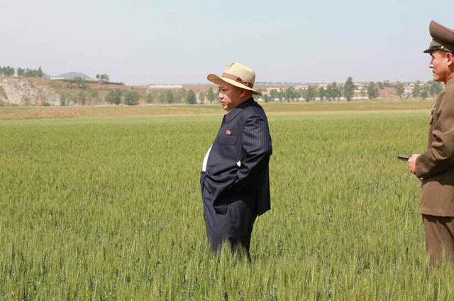 金正恩戴草帽視察田間地頭 支持建現代化溫室