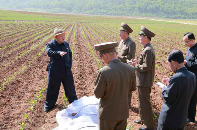 金正恩戴草帽視察田間地頭 支持建現代化溫室