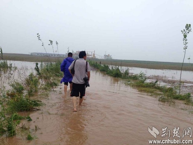 "東方之星"遊輪在長江湖北監利段翻沉 縣城積水嚴重