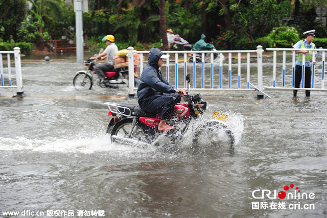 颱風"鯨魚"掠過三亞 道路積水大樹倒地