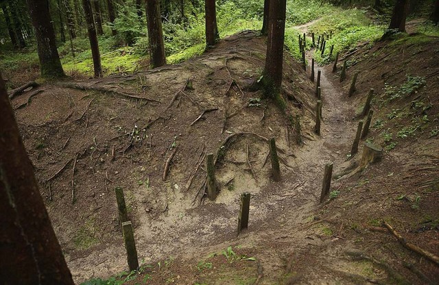 探秘法國凡爾登大戰遺址 毒彈遍地滿目瘡痍