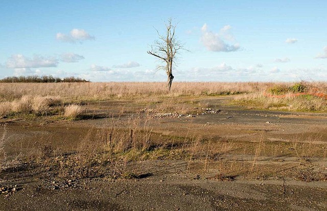 探秘法國凡爾登大戰遺址 毒彈遍地滿目瘡痍