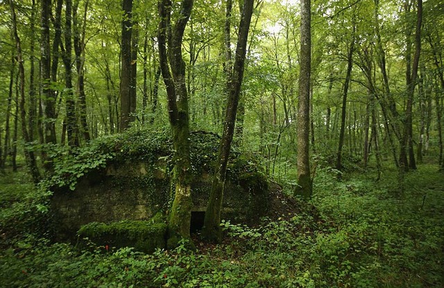 探秘法國凡爾登大戰遺址 毒彈遍地滿目瘡痍