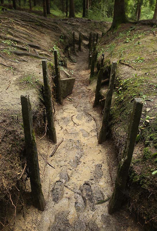 探秘法國凡爾登大戰遺址 毒彈遍地滿目瘡痍