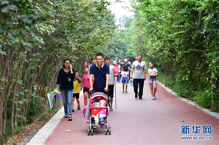 河南鶴壁：淇河濕地生態美