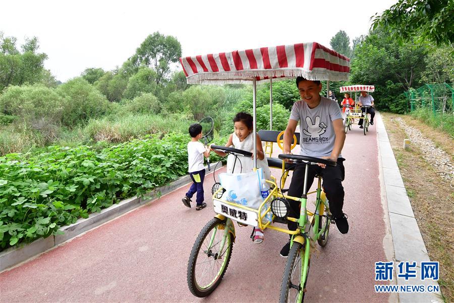 河南鶴壁：淇河濕地生態美