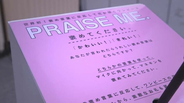 日本現特殊連衣裙 被誇漂亮就會“開花”