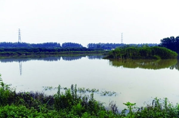 南京地震觀測點養豬預報地震 1天2次彙報情況