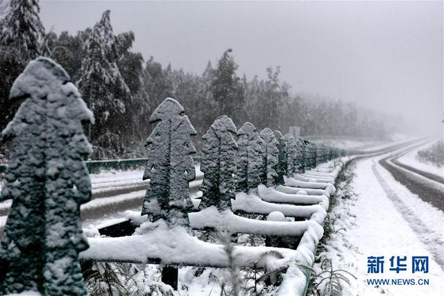 黑龍江漠河八月飛雪