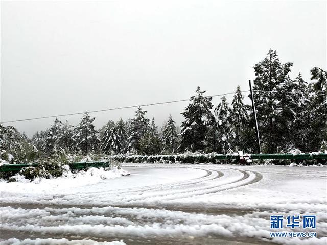 黑龍江漠河八月飛雪