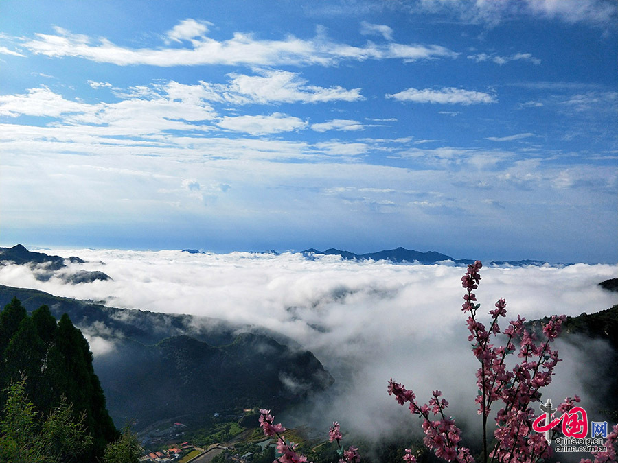 雲霧瀰漫石林峽