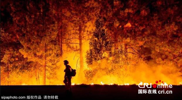 加拿大森林大火火勢惡化 數千人被迫撤離家園