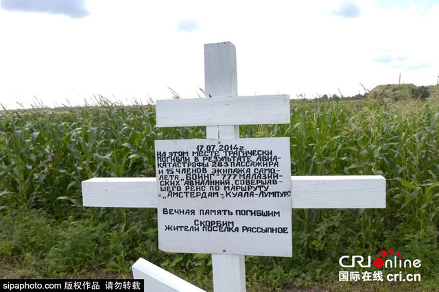 馬航MH17空難一週年 空難報告指向烏民間武裝