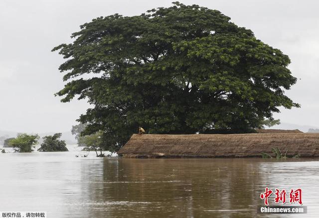 緬甸暴雨引發洪災村莊變汪洋 民眾劃船出行