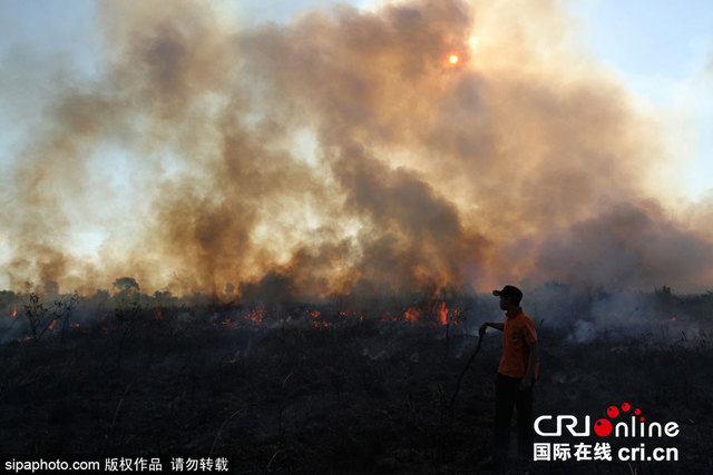 印尼南蘇門答臘爆發森林大火 森林火災呈每日增加趨勢