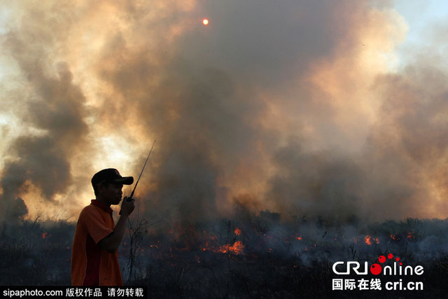 印尼南蘇門答臘爆發森林大火 森林火災呈每日增加趨勢