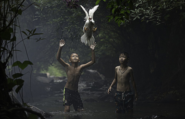 國家地理旅行者攝影大賽獲獎作品曝光(高清組圖)