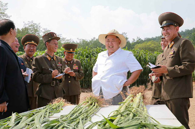 圖片默認標題